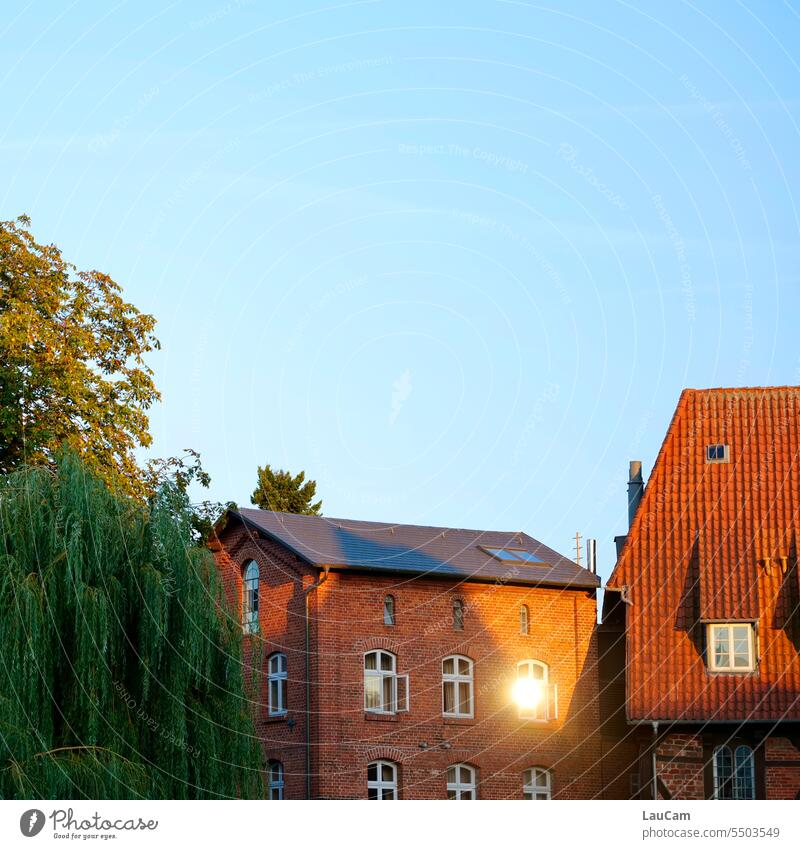 grenzwertig | kurz vor Sonnenuntergang Spiegelung Reflexion & Spiegelung Lichterscheinung Lichtspiegelung Sonnenlicht Fenster Reflexion im Fenster