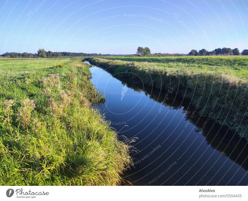 kleiner, schmaler Kanal, der fast gerade durch grüne Weiden verläuft mit Bäumen/Wald im Hintergrund, sonniges, schönes Wetter, Norddeutschland, Idylle Gras