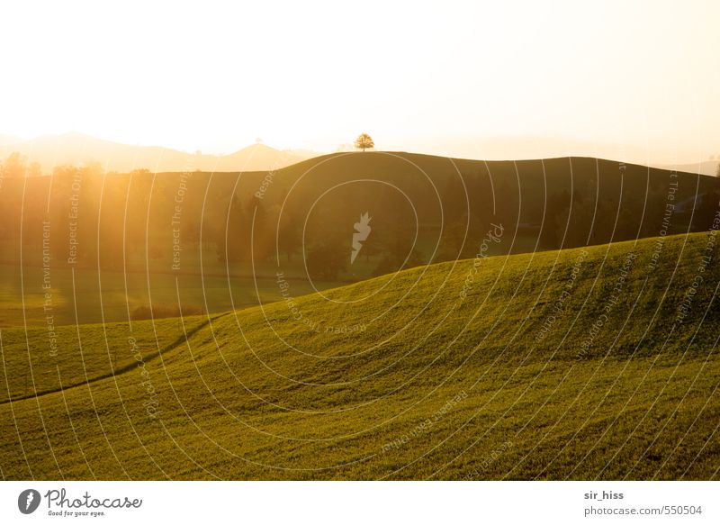 Oktobernebel ist angenehmer Landschaft Horizont Sonnenlicht Herbst Schönes Wetter Nebel Baum Garten Park Wiese Hügel Gipfel ästhetisch Ferne hoch lang weich