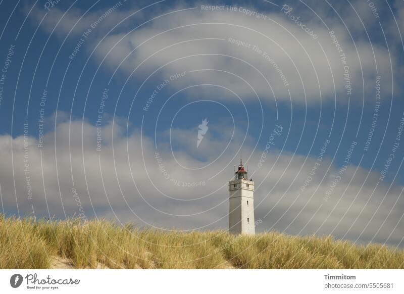 Leuchtturm in mildem Sommerlicht Fyr Blavand Blavandshuk Fyr Dänemark Nordsee Düne Küste Ferien & Urlaub & Reisen Jütland Himmel Wolken warm Licht Dünengras