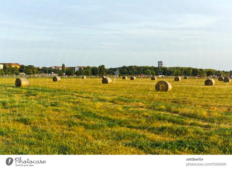 Strohballen auf dem Tempelhofer Feld berlin ferne flugbahn flughafen flugplatz freiheit frühling himmel horizont menschenleer rollbahn skyline sommer