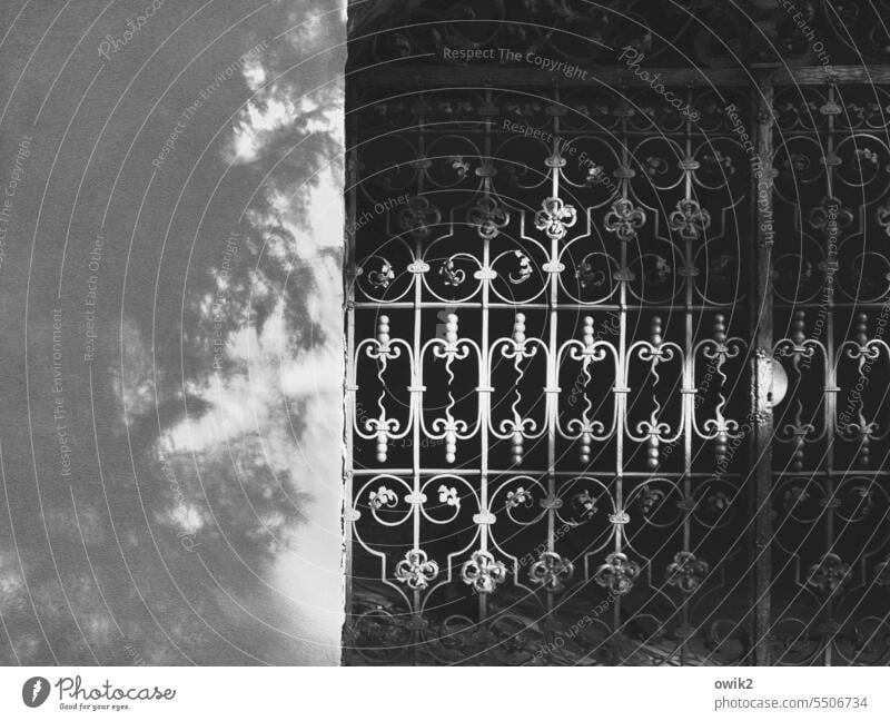 Familiengruft Grabstätte Friedhof Grabmal verschlossen abgeschlossen Gitter Metall Gußeisen alt historisch Gruft Eisen Vergänglichkeit Traurigkeit Außenaufnahme