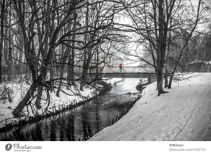 An einem nebligen Wintertag fährt ein Radfahrer über eine Brücke im verschneiten Park Schnee kalt Fahrrad draußen fahren Fluss Landschaft Bäume Nebel winterlich