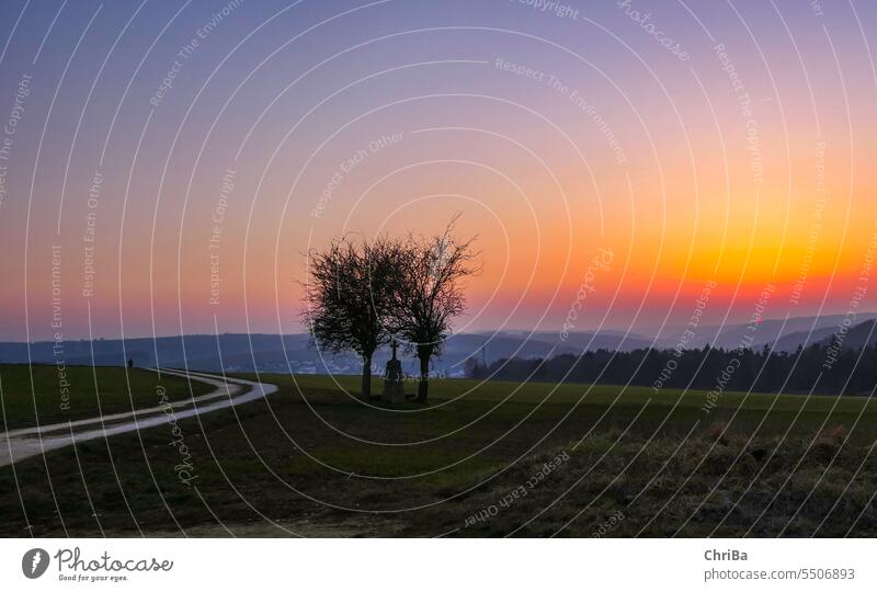 Sonnenuntergang in Ulm Außenaufnahme Farbfoto Wegweiser Menschenleer Orientierung Straße Wege & Pfade Sonnenlicht romantisch Abend abenddämmerung Feldweg