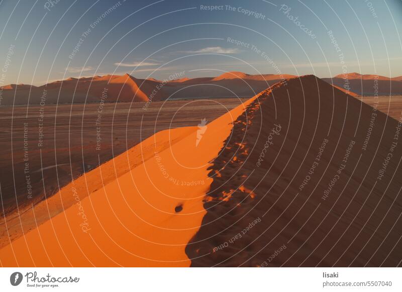 Abendstimmung in der Sandwüste auf einer Düne Sanddüne Afrika Sossuvlei Namibia Sonnenuntergang Natur rot roter Sand Wüste Dünen Ferien & Urlaub & Reisen reisen