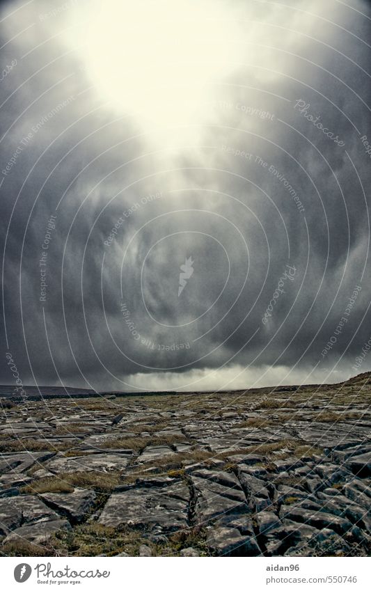 Thunderstorm Natur Landschaft Erde Himmel Wolken Gewitterwolken Frühling schlechtes Wetter Sturm Felsen Küste Insel Stein bedrohlich dunkel kalt grau grün Kraft