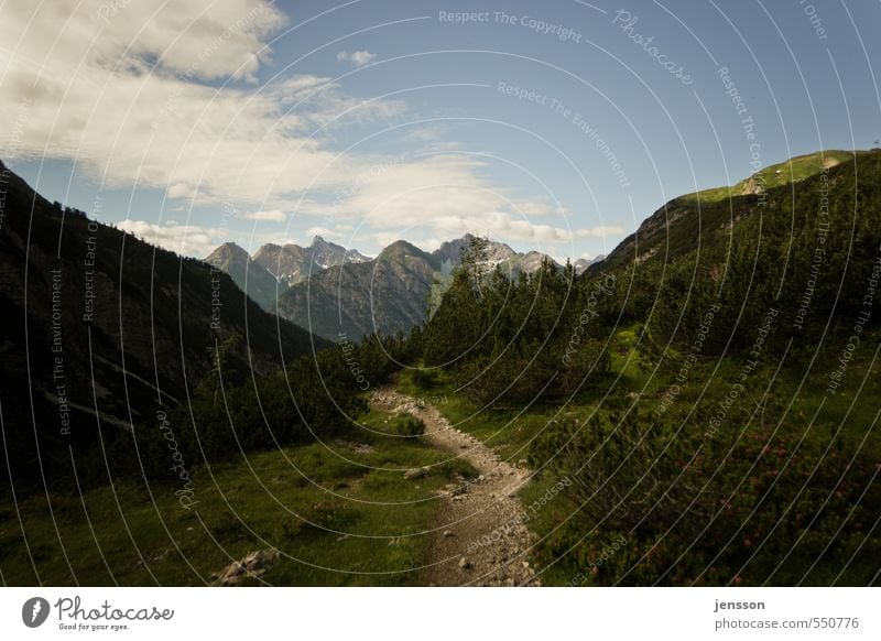 talwärts Ausflug Abenteuer Ferne Freiheit Berge u. Gebirge wandern Umwelt Natur Landschaft Pflanze Himmel Wolken Sommer Schönes Wetter Alpen Gipfel Stein