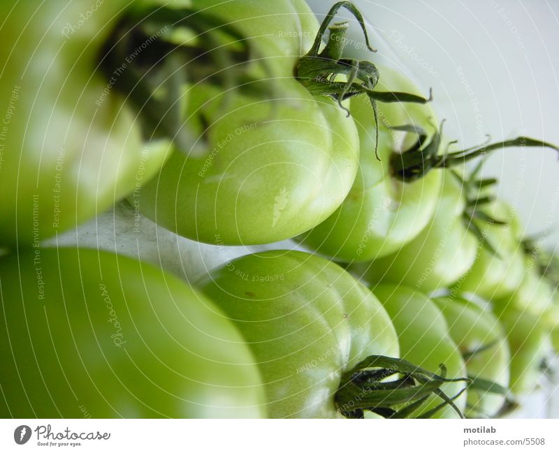 grüne Tomaten unreif tomatos Gemüse Ernährung