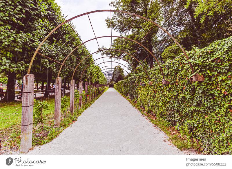 Pergola im Park. Mirabellgarten, Salzburger Land, Österreich Mirabellengarten Weg Metal Tag Spaziergang natürlich Pflanze Landschaft Tourismus Gartenarbeit