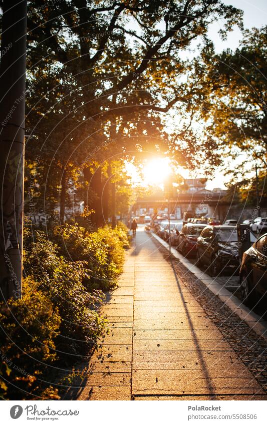 #A0# Dresdner Sonne Sonnenaufgang dresden-neustadt Dresden Grossstadtromantik Außenaufnahme Haus Architektur Neustadt Stadt Altstadt Stadtzentrum Gebäude Himmel