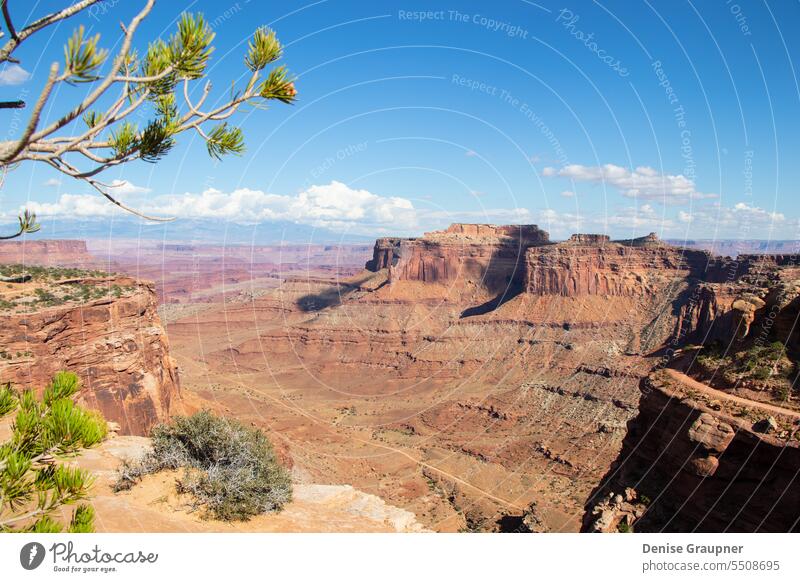 Blick in den Canyonlands National Park USA Natur wüst Utah Schlucht Landschaft reisen Felsen Tourismus südwestlich wandern Island in the Sky Ansicht