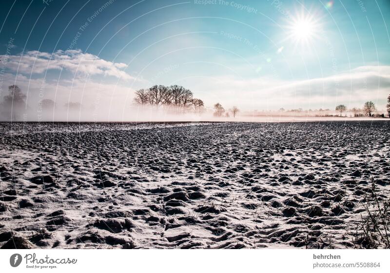 vorfreuen Morgendämmerung Sonnenaufgang Sonnenlicht träumen schön Farbfoto verträumt idyllisch Winterspaziergang Schneedecke Schneelandschaft Wintertag