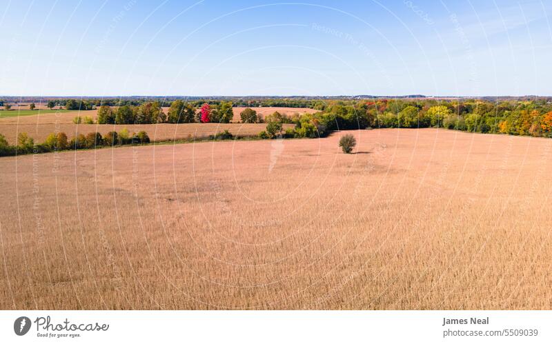 Blick von oben auf herbstliche Felder in Wisconsin landwirtschaftlich Ackerbau Herbst Herbstblattfarbe Hintergründe Schönheit in der Natur blau hell braun