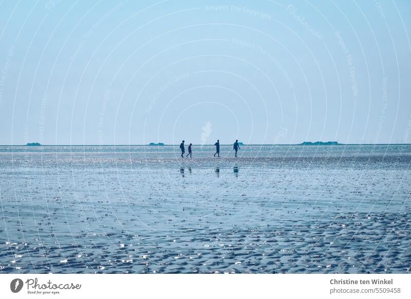 Wattwanderung Wattenmeer Silhouetten Menschen Nordsee Wasser Meeresboden Wattboden Himmel Gegenlicht Natur Ebbe Küste Strand Ferien & Urlaub & Reisen Horizont