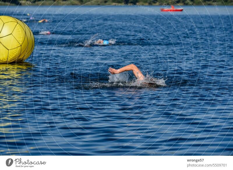 Die guten Vorsätze für's neue Jahr | schaun wir mal was wird Thementag gute Vorsätze Sport treiben Triathlon Schwimmende Freiwasser Fitness Gesundheit Training