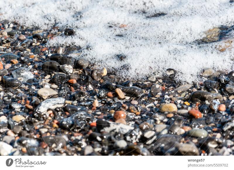 Schaumbad Uferlinie Strand Steine Feuersteine Brandung Wellenlinie Luftblasen im Wasser nass Küste Meer Glänzende Steine Natur Außenaufnahme Tag Tageslicht