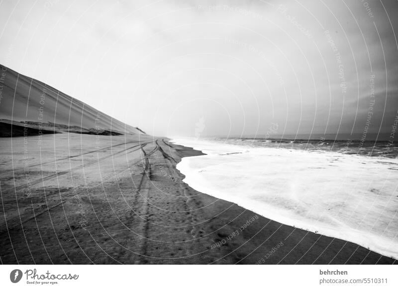 mee(h)rweite Küste besonders Nebel Wolken Außenaufnahme sandwich harbour Wüste Afrika Namibia Sand Meer Ferne Fernweh Sehnsucht reisen Farbfoto Landschaft Natur