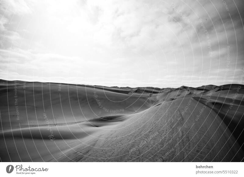 weich stille samtig sanft Düne Dünen sanddüne sandwich habour magisch Wärme traumhaft Walvisbay Swakopmund besonders beeindruckend Himmel Landschaft Ferne Dürre