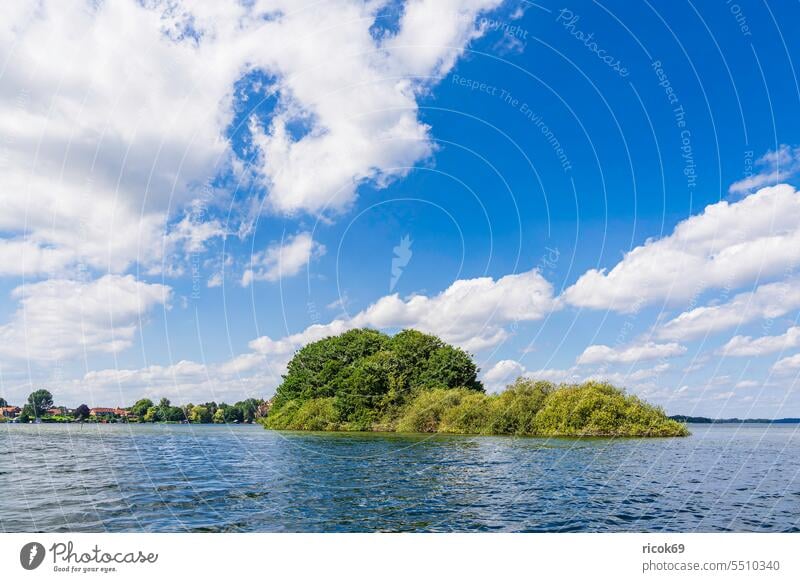 Blick auf die Insel Möwenburg vor Zarrentin am Schaalsee See Mecklenburg-Vorpommern Ufer Landschaft Natur Baum Sommer Wasser Himmel Wolken blau grün Idylle