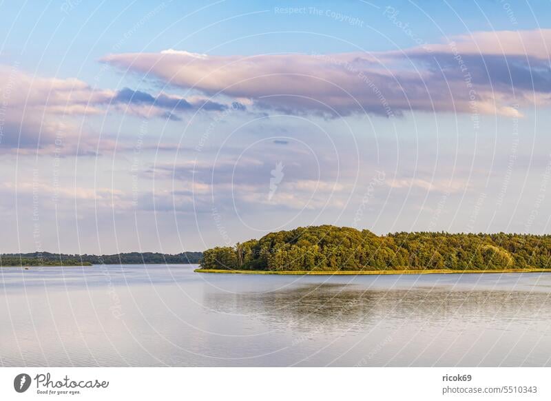 Ausblick mit See und Bäumen in Seedorf am Schaalsee Schleswig-Holstein Ufer Landschaft Natur Sommer Wasser Baum Wald Himmel Wolken blau grün Idylle Urlaub Reise