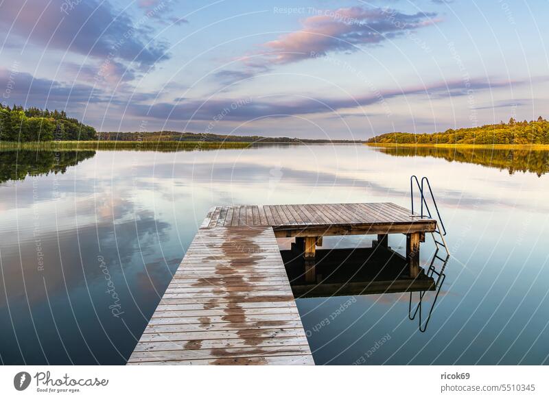 Badesteg in Seedorf am Schaalsee im Sonnenaufgang Schleswig-Holstein Steg Ufer Landschaft Natur Sommer Wasser Baum Wald Himmel Wolken blau Idylle Urlaub