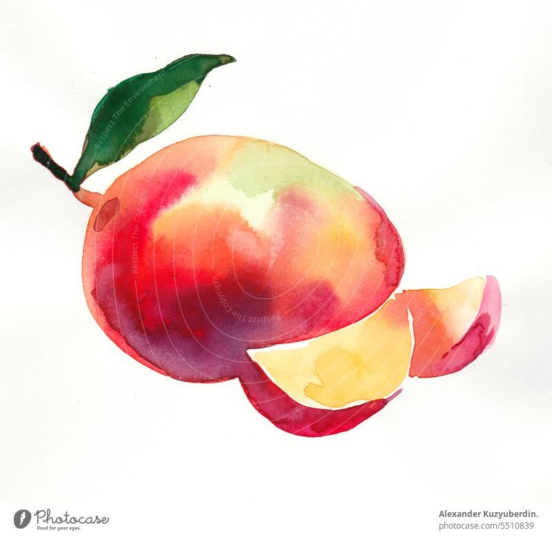 Aquarell Mango Kunst Nahaufnahme Farbe geschnitten lecker Dessert Zeichnung gezeichnet exotisch Lebensmittel frisch Frische Frucht grün Hand