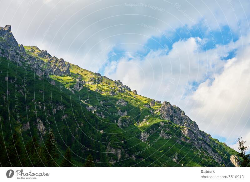 Mit grünem Wald bedeckte Berge vor blauem, bewölktem Himmel. Landschaft Gipfel Ambitus wandern reisen Tatra Natur Nationalpark Morskie Oko Rysy Seeauge Zakopane