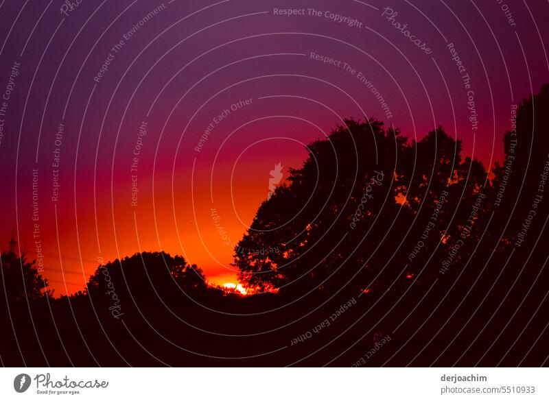 Die Sonne verschwindet hinter dem Horizont Sonnenuntergang am Abend Dämmerung Außenaufnahme Abenddämmerung Menschenleer Farbfoto Silhouette Licht orange