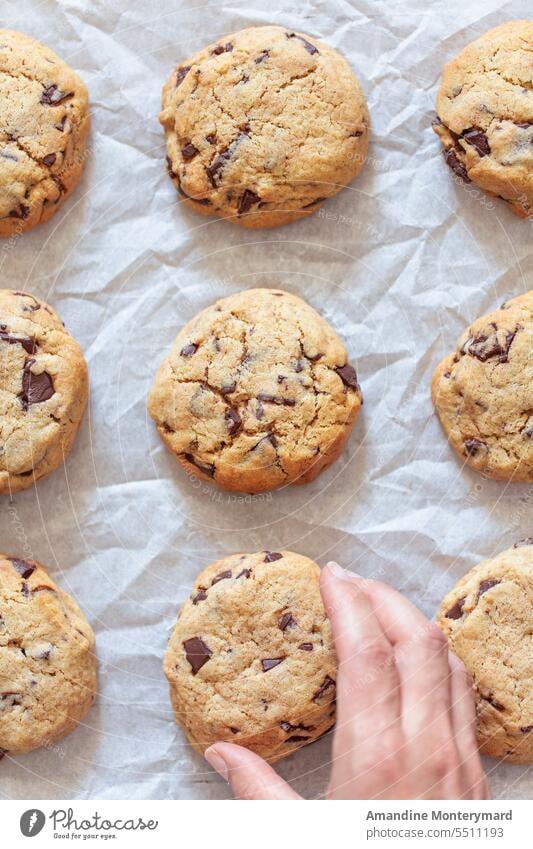 frisch gebackene Schokoladenplätzchen Cookies selbstgemacht Schokokekse Backzeit Backpapier frische Kekse frisch gebackene Kekse genießen Snack Snackzeit