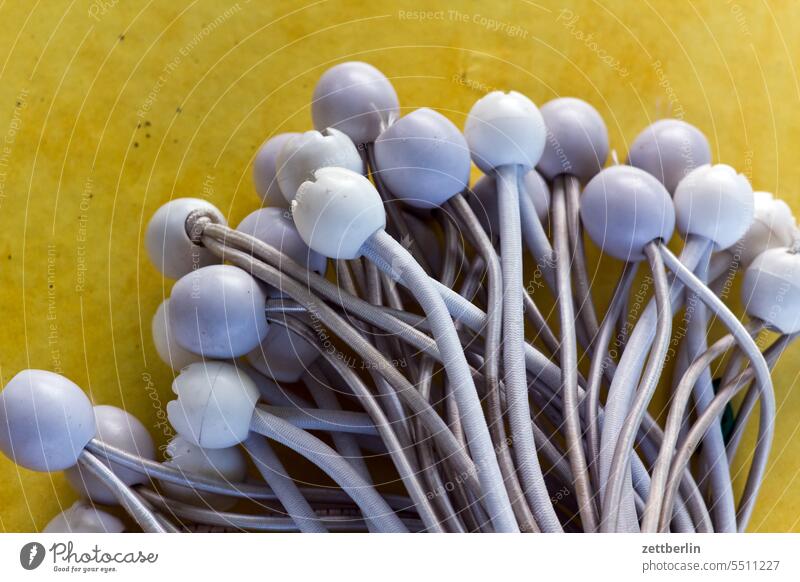 Zeltspanner zeltspanner spanngummi band bänder gummibänder befestigung befestigungsbänder partyzelt garte gartenzelt schnallen festschnallen befestigen rund