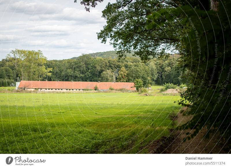 Waldrand mit grüner Wiese / Weide im Hügelland. Leicht verdeckte lange Stallanlage vor grünen Bäumen und einem bewaldeten Hügel im Spätsommer. grüne Wiese