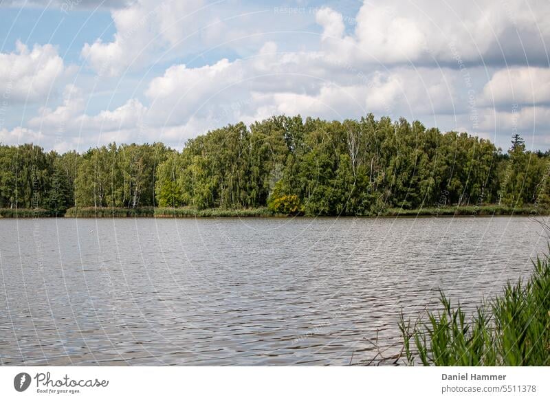 Schöner See im Spätsommer, im Vordergrund etwas Schilf und Wasser. Im Hintergrund drei Inseln mit vollem Laubbaumbewuchs. Wolken und hellblauem Himmel. Kleine Wellen auf dem See.