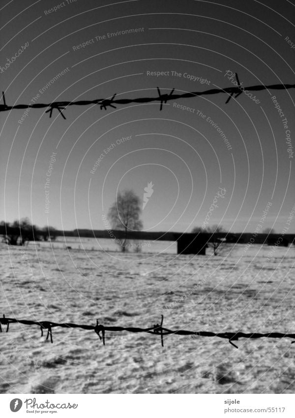 Ausgezäunt Stacheldraht Zaun Winter kalt Schneelandschaft Scheune Baum Draht schwarz weiß Landschaft Hütte Himmel Schwarzweißfoto Eis