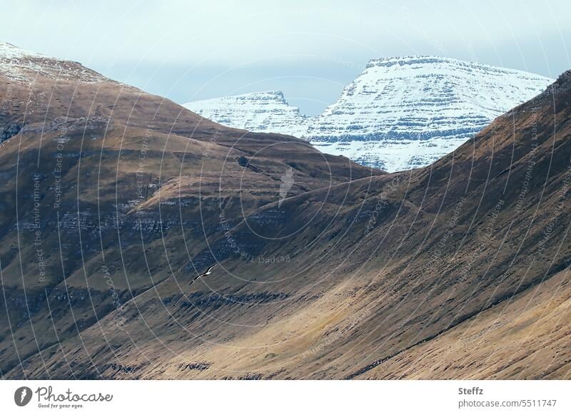 Steilküste und Berge auf der Färöer Inseln Färöerinseln Färöer-Inseln Schafsinseln Felsinseln malerisch spektakulär Harmonie Abenteuer Naturerlebnis steil