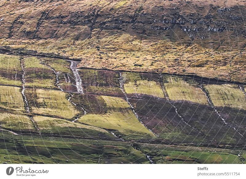 Bergseite und die Küste einer der Färöer Inseln Färöerinseln Färöer-Inseln Schafsinseln Felsinseln steil Gräser Moos grasbewachsen Moosteppich Brauntöne