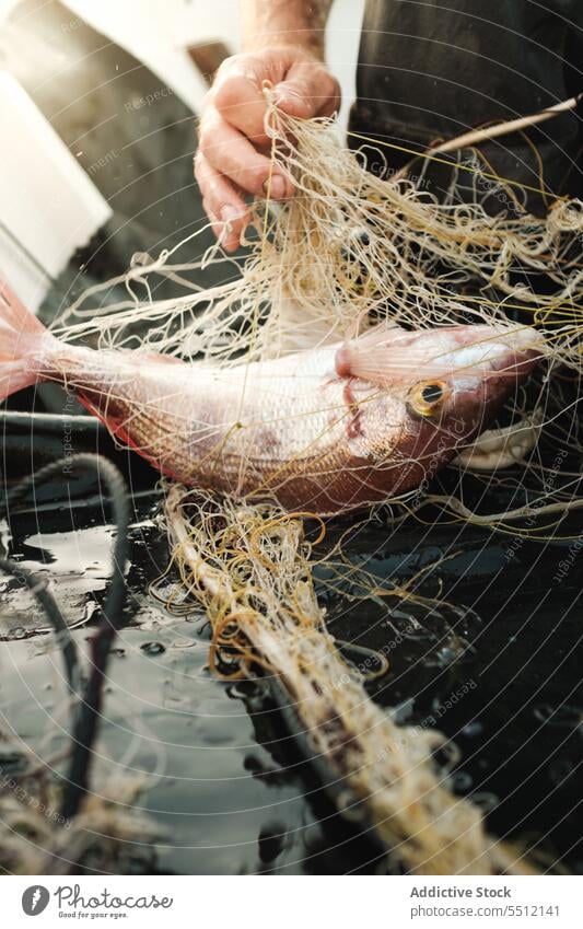 Anonymer Mann, der mit der Hand die Fäden des Fischernetzes entwirrt, um bei Tageslicht Fische zu fangen Netz Fischen Boot Wasser Schiffsdeck Gerät Natur