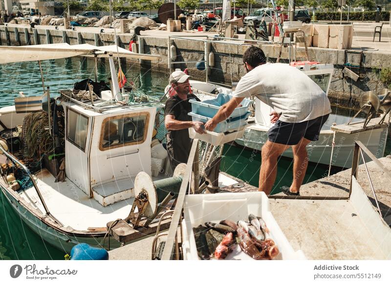 Hispanische Männer, die Kisten mit Fisch verteilen und empfangen Kasten geben Empfang Wasser MEER Fischen Meer Zusammensein männlich Soller Baleareninsel