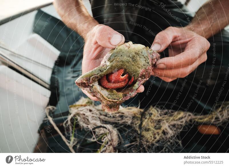 Anonymer ethnischer Mann an Deck sitzend mit Molluske Fischen Netz fangen Fokus Schiffsdeck Weichtier Sommer männlich jung hispanisch Fischer tagsüber