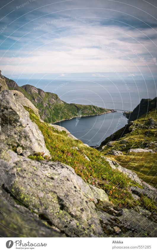 Lofoten XXII Sinnesorgane ruhig Ferien & Urlaub & Reisen Ausflug Abenteuer Ferne Freiheit Berge u. Gebirge wandern Natur Landschaft Moos Felsen Küste Bucht