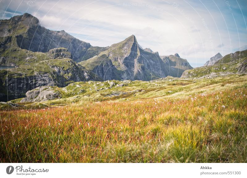 Märchenwelt Ferien & Urlaub & Reisen Abenteuer Ferne Freiheit Berge u. Gebirge wandern Natur Landschaft Himmel Pflanze Gras Gipfel beobachten Denken träumen