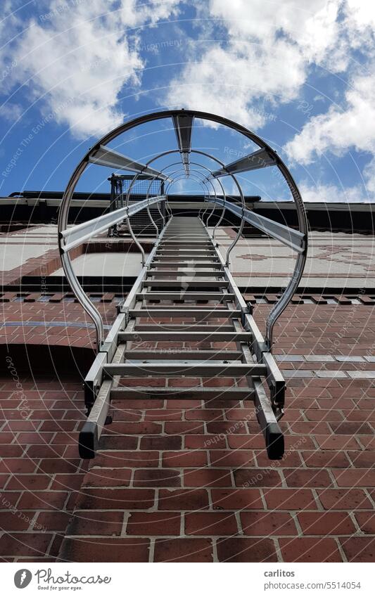 Wege | nach oben Leiter Feuerleiter Notausgang Fassade Haus Gefahr Flucht Ziegel Mauerziegel Rund Metall Fluchtpunkt Zentralperspektive Architektur Gebäude