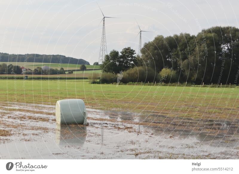 auf dem Land Landschaft Natur Wiese Landwirtschaft Heuballen Wasser Überschwemmung Baum Strauch Windräder zwei Windkraftanlage Himmel Wolken Feld Sommer