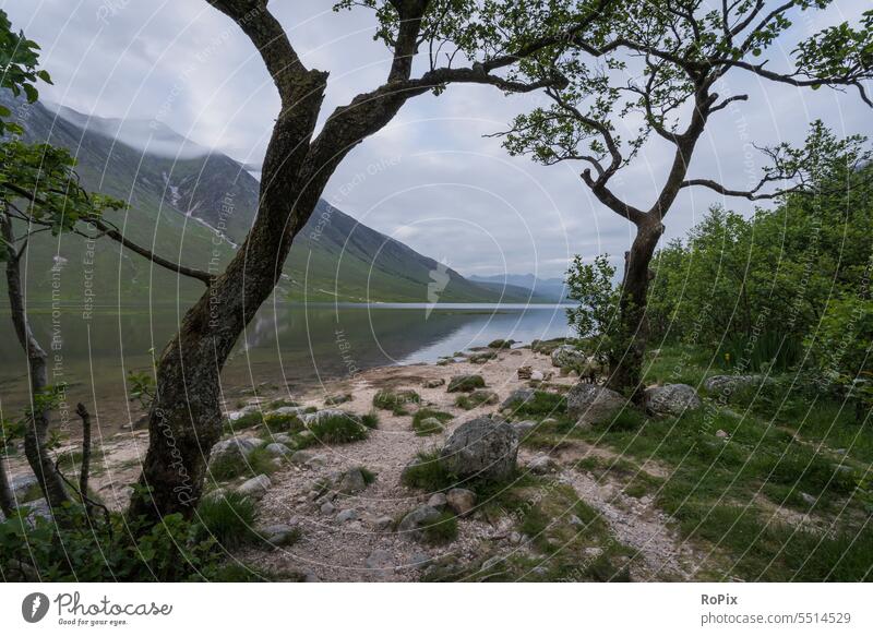 Loch Etive in den western highlands. Tal Fluss Wasserfall Stromschnellen glen affric river Bach valley Landschaft landscape scotland England Schottland wandern