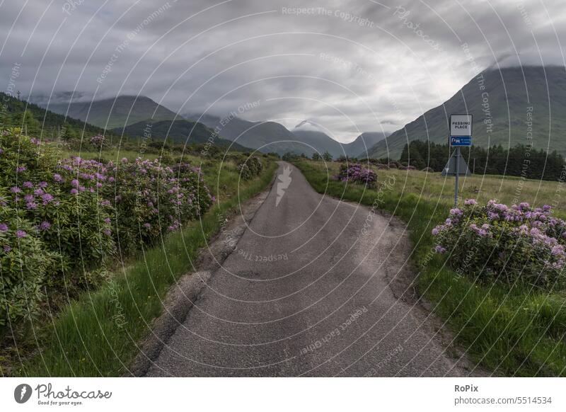 Skyfall road in den western highlands. Straße street Landschaft Wildnis Schottland scotland Schafweide England landscape Natur anglia wandern dawn Wanderung