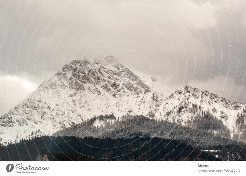 ganztags sichtbar Alpen Schnee Berge schneebedeckt Schneebedeckte Gipfel Felsen Wintertag Kärnten Berge u. Gebirge Österreich Natur weiß kalt grau hoch steil