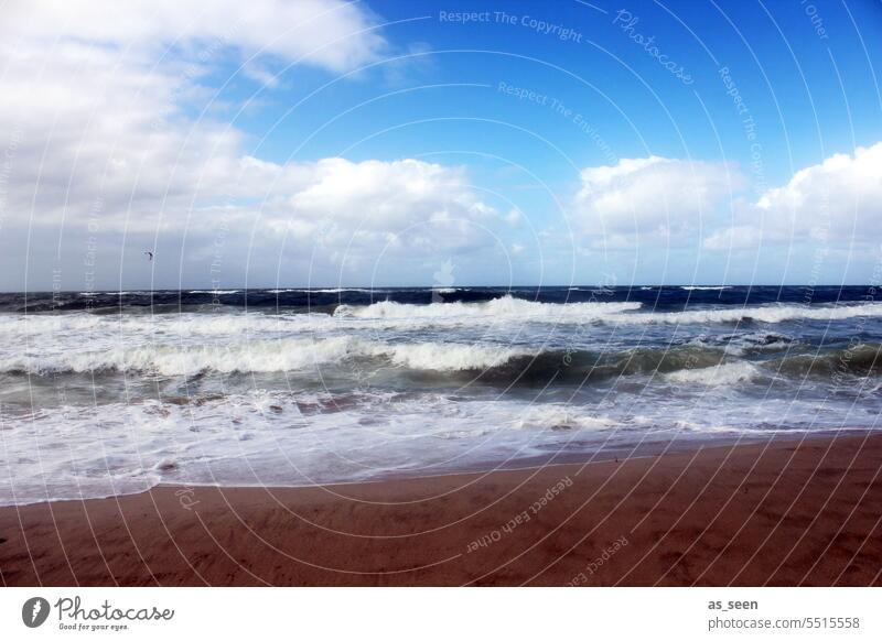 Am Meer Nordsee Flut Sand Küste Blauer Himmel Strand Wasser Gezeiten Wattenmeer Ebbe und Flut Insel Horizont Wattwandern nass Sommer Ferien & Urlaub & Reisen