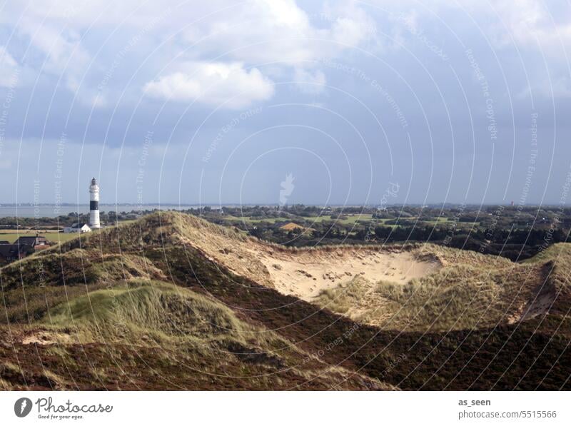 Leuchtturm Sylt Dünen Langer Christian Sand Licht Himmel Nordsee Küste Natur Landschaft Strand Ferien & Urlaub & Reisen Nordseeküste Dünengras Meer Wolken