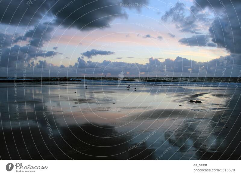 Am Meer Nordsee Ebbe Flut Abend Wolken Himmel Spiegelung Sonnenuntergang Abenddämmerung Dramatik Wasser Strand Küste Gezeiten Wattenmeer Horizont Insel Ferne