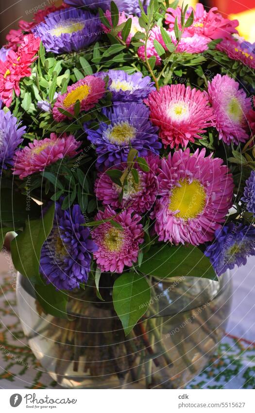 Aster la vista! | Herbstblumenstrauss mit pinken und violetten Astern. Herbstblüher Herbstblüte herbstlich Herbstbeginn Jahreszeiten jahreszeitlich Blütezeit