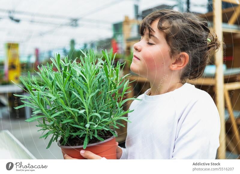 Entzückendes Kind steht und riecht an einer duftenden Kräuterpflanze Mädchen riechen duftig Aroma Kräuterbuch Wittern Augen geschlossen Gewächshaus Sommer